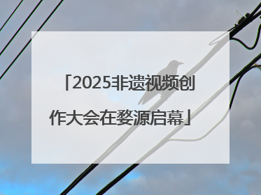 2025非遗视频创作大会在婺源启幕