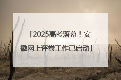 2025高考落幕！安徽网上评卷工作已启动
