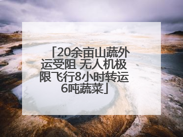 20余亩山蔬外运受阻 无人机极限飞行8小时转运6吨蔬菜