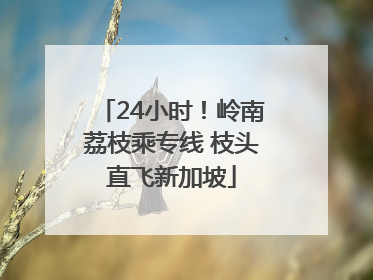 24小时！岭南荔枝乘专线 枝头直飞新加坡