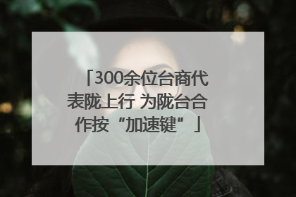 300余位台商代表陇上行 为陇台合作按“加速键”