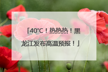 40℃！热热热！黑龙江发布高温预报！