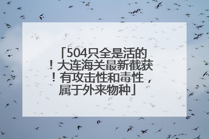 504只全是活的！大连海关最新截获！有攻击性和毒性，属于外来物种
