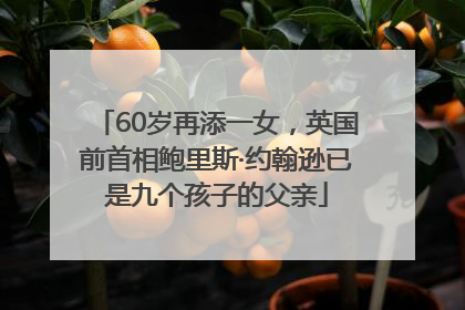 60岁再添一女，英国前首相鲍里斯·约翰逊已是九个孩子的父亲