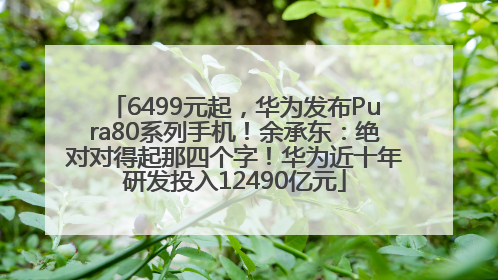 6499元起，华为发布Pura80系列手机！余承东：绝对对得起那四个字！华为近十年研发投入12490亿元