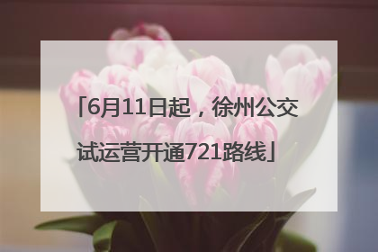 6月11日起，徐州公交试运营开通721路线