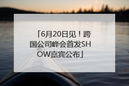 6月20日见!跨国公司峰会首发SHOW嘉宾公布