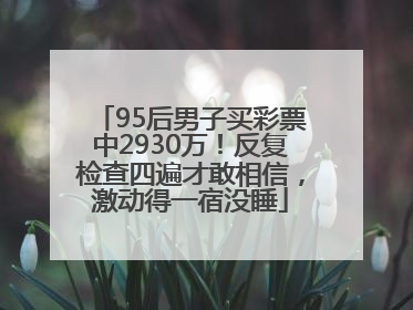 95后男子买彩票中2930万！反复检查四遍才敢相信，激动得一宿没睡