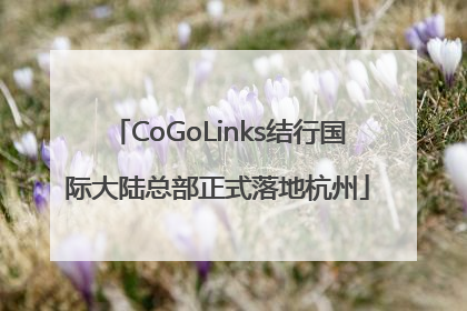 CoGoLinks结行国际大陆总部正式落地杭州