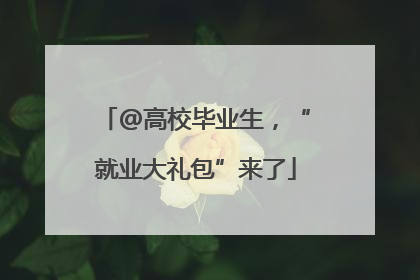 @高校毕业生，“就业大礼包”来了