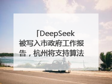 DeepSeek被写入市政府工作报告，杭州将支持算法模型企业发展