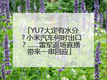 YU7大定有水分？小米汽车何时出口？……雷军返场直播带来一串回应